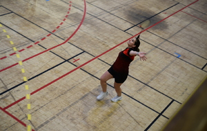 D5 Stephanie en simple
