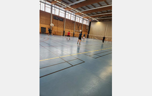 DEROUELMENT ICD D3
