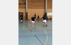 OPHELIE ET STEPHANIE ICD D4